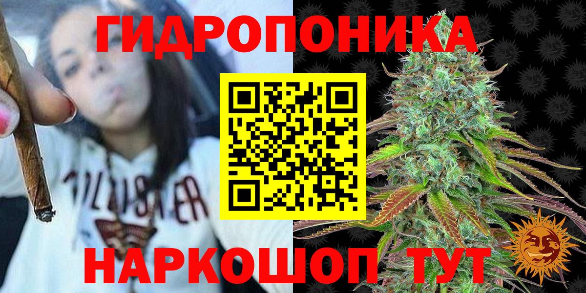 Канабис AK-47  Вход с VPN  Марихуана семена  Марихуана OG Kush  Шатура 